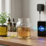 How to Get Rid of Gnats